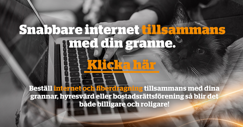 saker att hålla utkik för när online datingDating profiler tips
